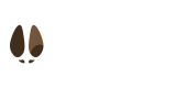 primary_logo_white