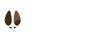 primary_logo_white